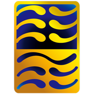 AFFLUX SECURITIES LIMITED